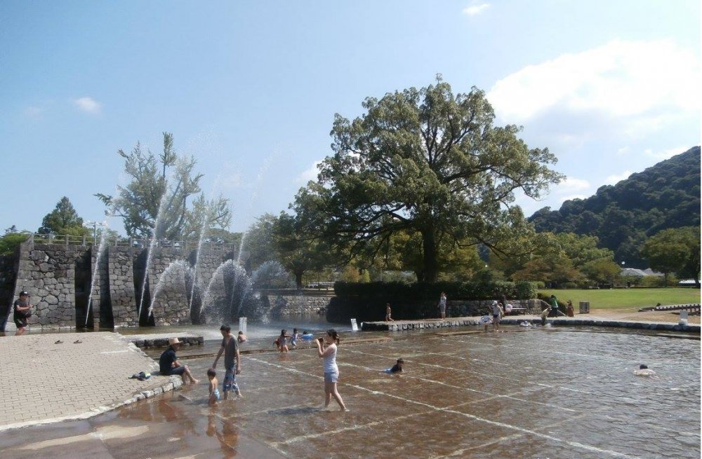 🌳 깃코 공원 이미지 4